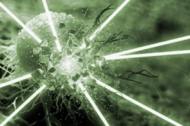 Thumbnail for 6880146