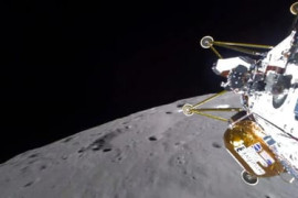 Thumbnail for 6880921