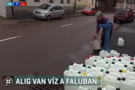 Thumbnail for 6881175