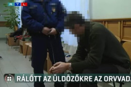 Thumbnail for 6881219