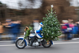 Thumbnail for 6881476