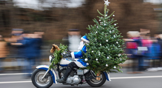 Thumbnail for 6881476