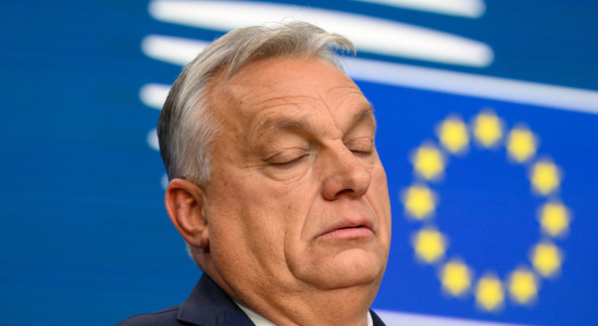 Thumbnail for 6881528