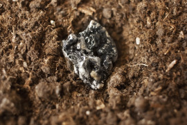 Thumbnail for 6881824