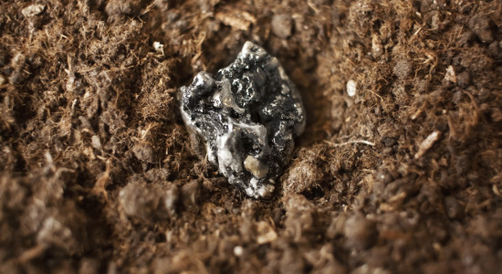 Thumbnail for 6881824