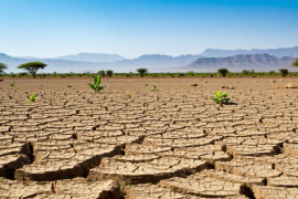 Thumbnail for 6881839