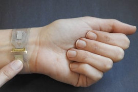 Thumbnail for 6881875