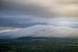 Thumbnail for 6881916