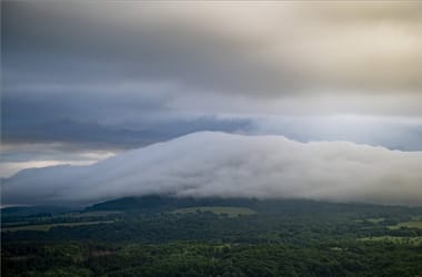 Thumbnail for 6881916