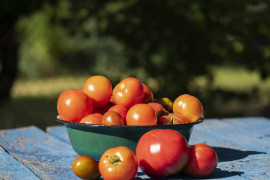 Thumbnail for 6882105