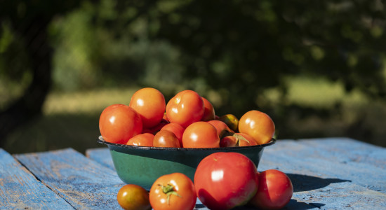 Thumbnail for 6882105