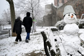 Thumbnail for 6882291