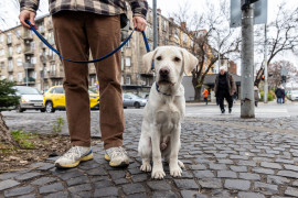 Thumbnail for 6883207