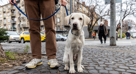 Thumbnail for 6883207