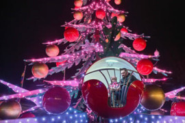 Thumbnail for 6883318