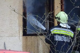 Thumbnail for 6883320