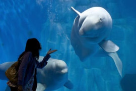 Thumbnail for 6883363