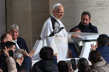 Thumbnail for 6883501