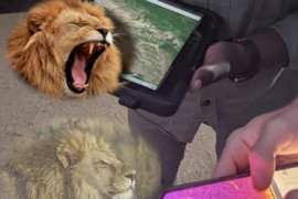 Thumbnail for 6883586