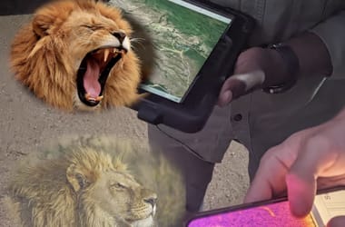 Thumbnail for 6883586