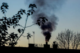 Thumbnail for 6884205