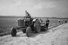 Thumbnail for 6885711