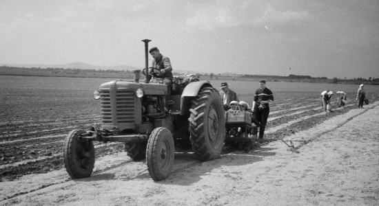 Thumbnail for 6885711