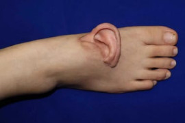 Thumbnail for 6886094