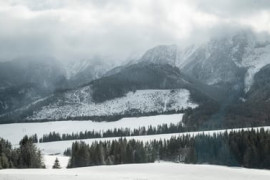 Thumbnail for 6886178