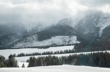 Thumbnail for 6886178