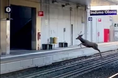 Thumbnail for 6886477