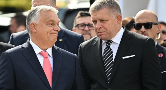 Thumbnail for 6887017