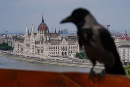 Thumbnail for 6887449