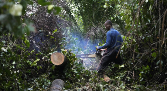 Thumbnail for 6887638