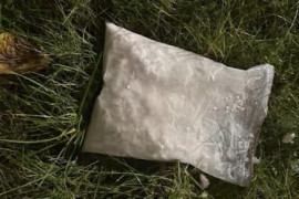 Thumbnail for 6887646