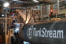 Thumbnail for 6887744