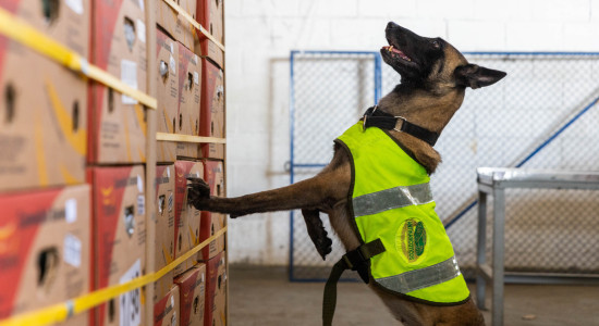 Thumbnail for 6889021