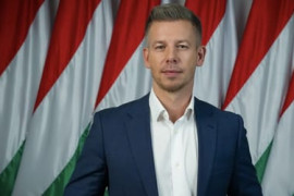 Thumbnail for 6889210