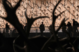 Thumbnail for 6889831