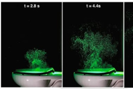 Thumbnail for 6889893