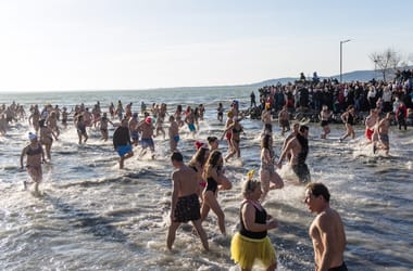 Thumbnail for 6889995