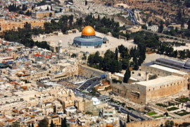 Thumbnail for 6890102