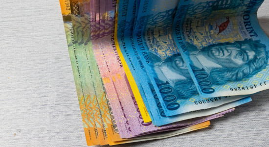 Thumbnail for 6890206