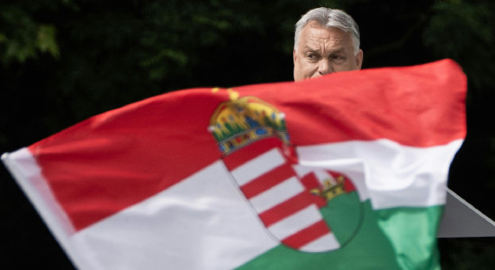 Thumbnail for 6890306