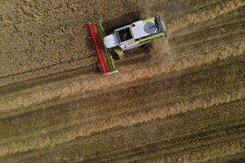 Thumbnail for 6890477