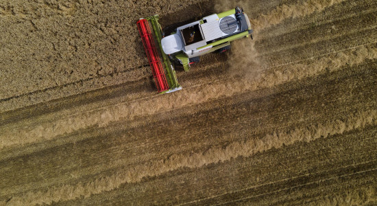 Thumbnail for 6890477