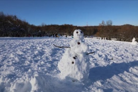 Thumbnail for 6890688