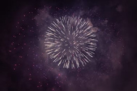 Thumbnail for 6890804