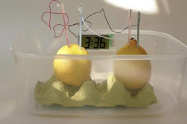 Thumbnail for 6890886