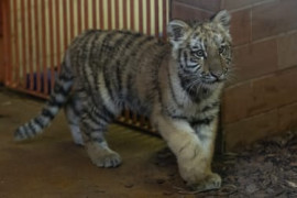 Thumbnail for 6891012